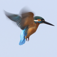 250125-03