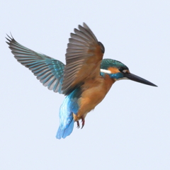 250125-04