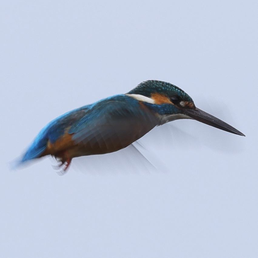 250125-07