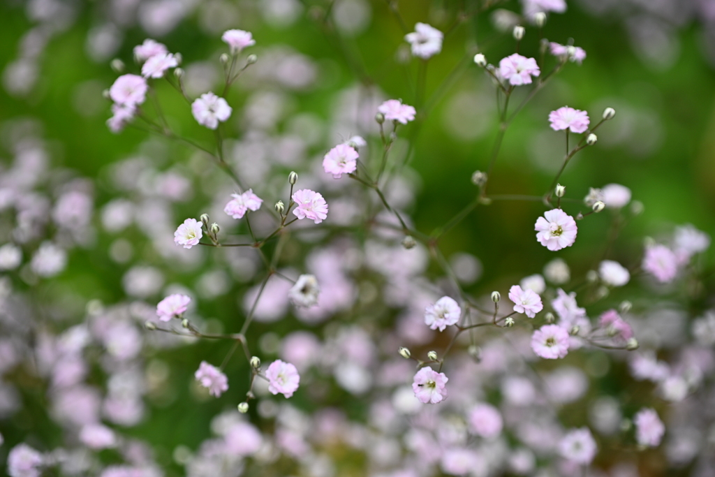 暑くて忙しい夏