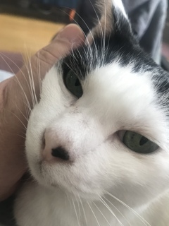 たまりません^_^