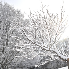 ♪レリゴー！♪