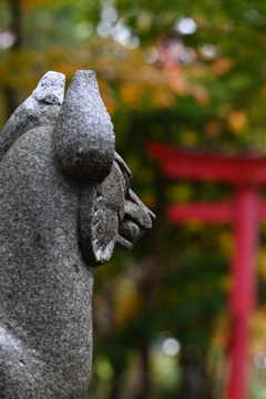 おきつねさま