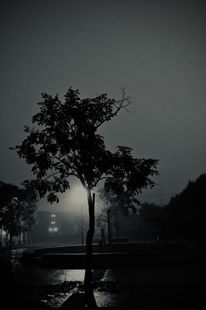 夜明け前