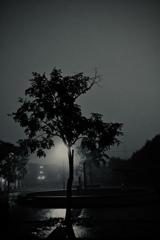 夜明け前 夜明け前
