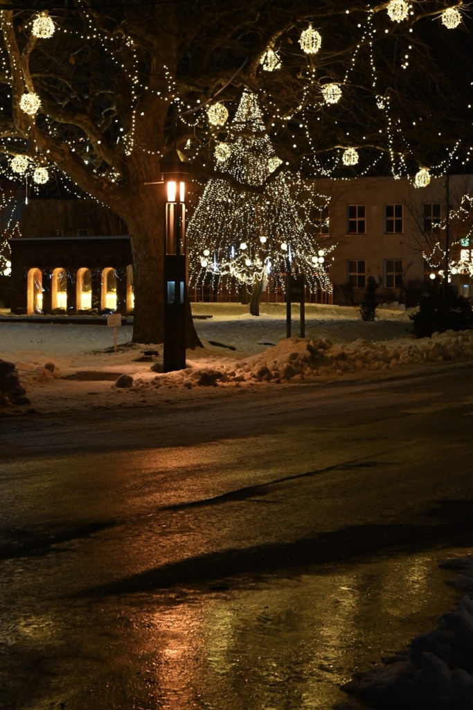 Winter Rain