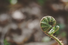 目が覚めて伸びをする寸前！