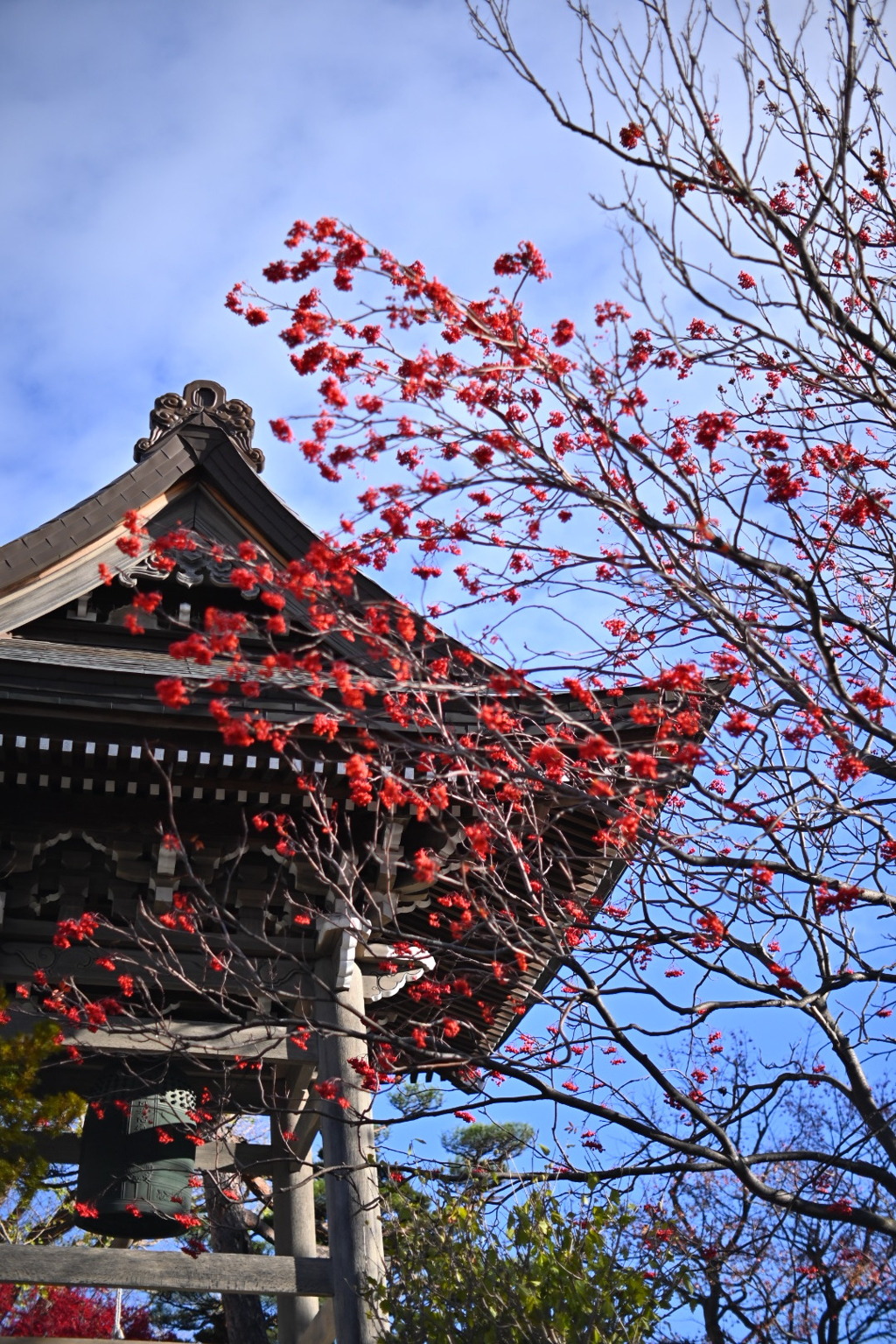 廣間山　真願寺