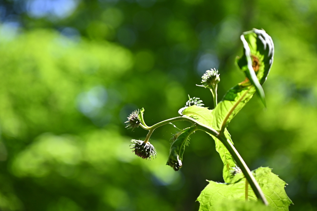 ちょっと見ないうちに！