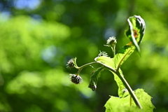 ちょっと見ないうちに！