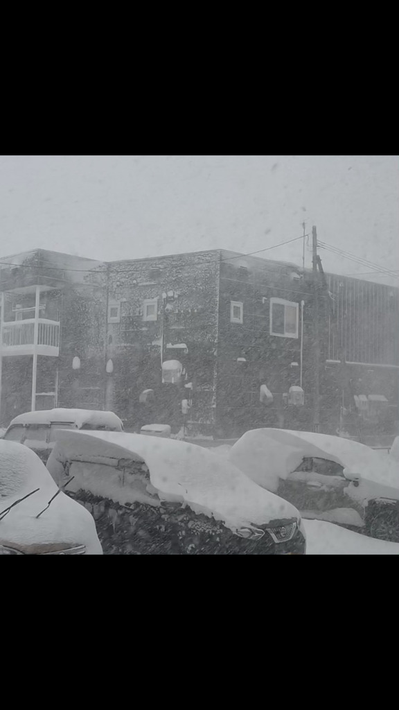 参りました(T . T)