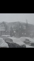 参りました(T . T)