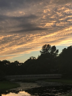 綺麗な夕空♪