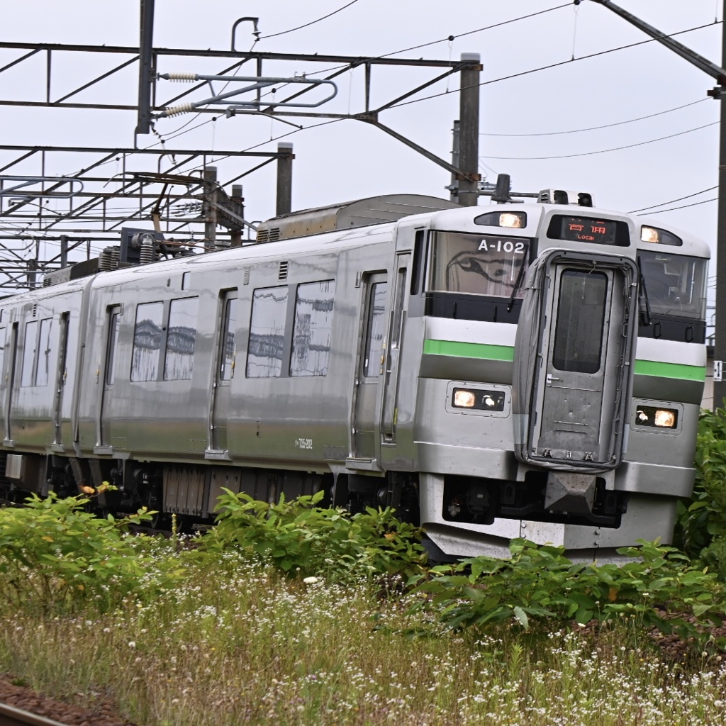 6両しかないレア車両です！