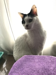 ふくちゃんは覚えています