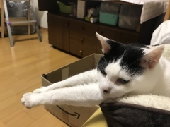 リラックスのポーズ♪