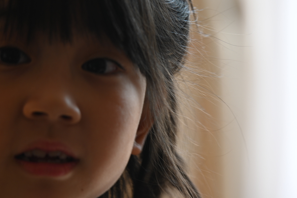 キレイナオネエサンハスキデスカ？