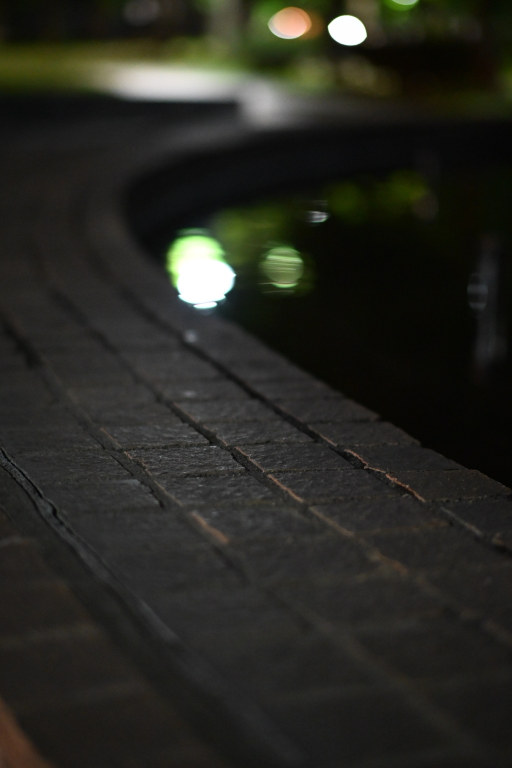 ♪ NIGHT WALKER♪