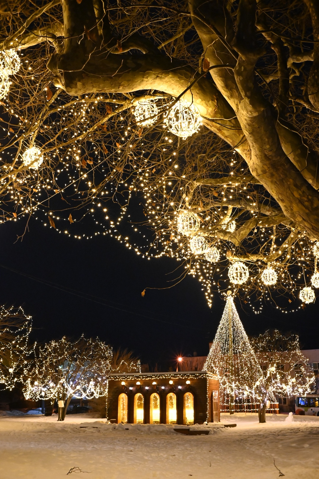 今年もありがとうございました^_^