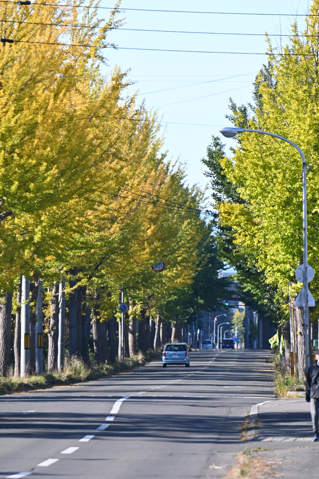 弥生町の秋