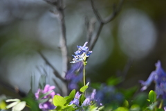 皆さま、またよろしくお願いいたします。