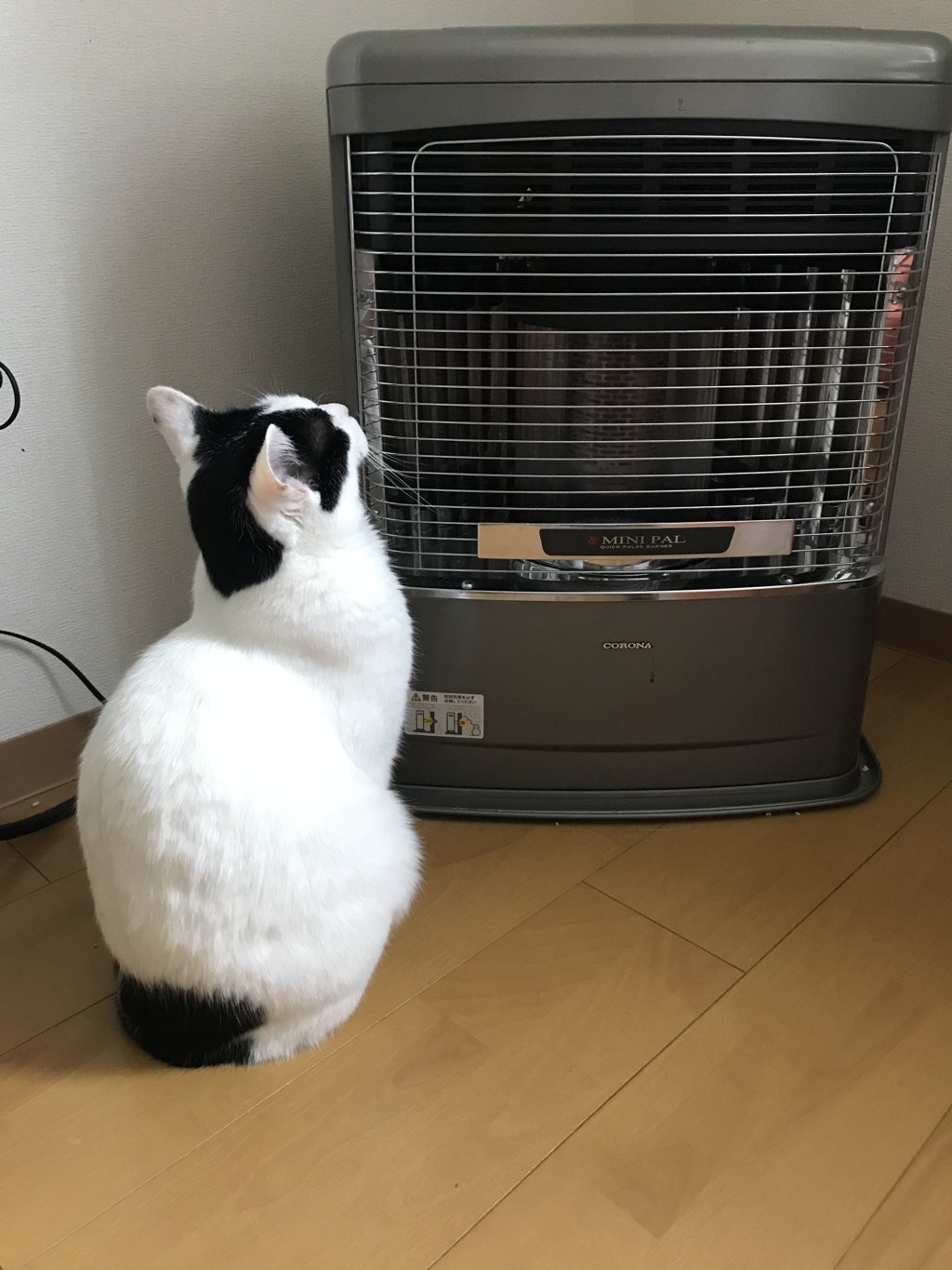 またこの季節がやってきました
