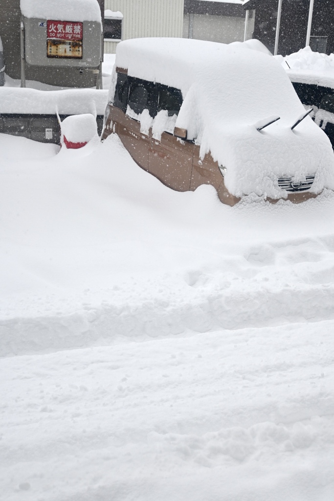 1月25日の積雪