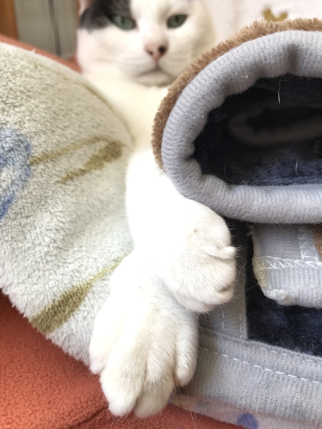 別にこじ開けようとしている訳ではありません。