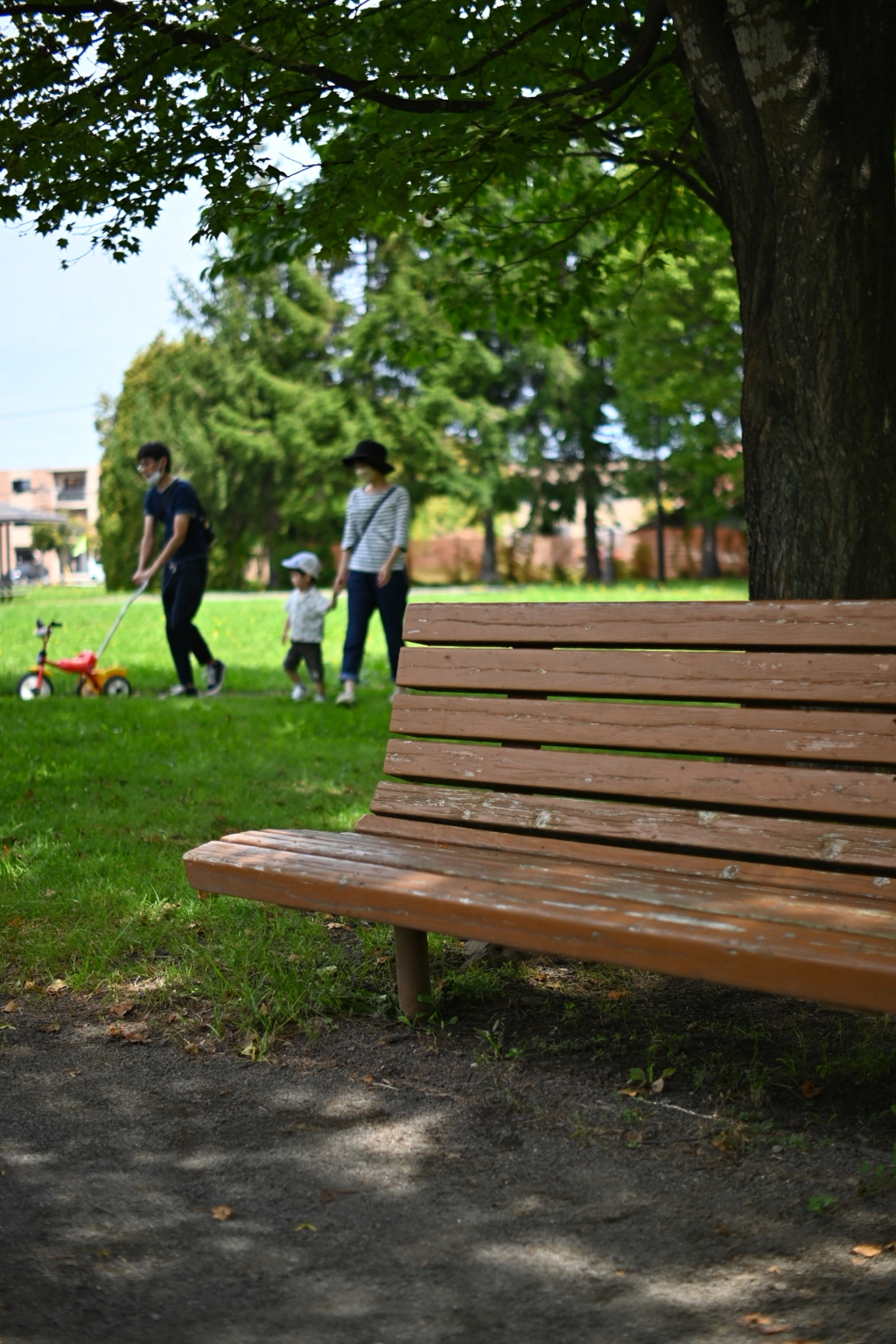 Saturday In The Park