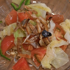 トマトとキャベツのサラダ