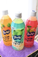 買っちゃいました^_^