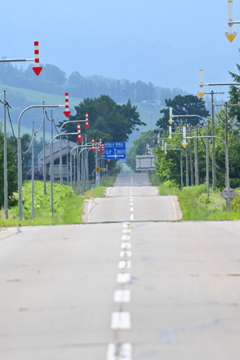 うねる道