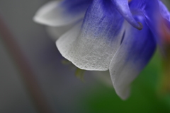 うつむく尾田真希さん