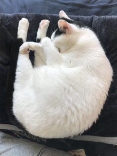 おひとりさま分（笑）