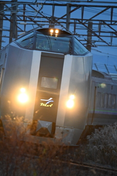 夕陽を追う