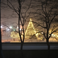 皆さま良い新年をお迎えください！