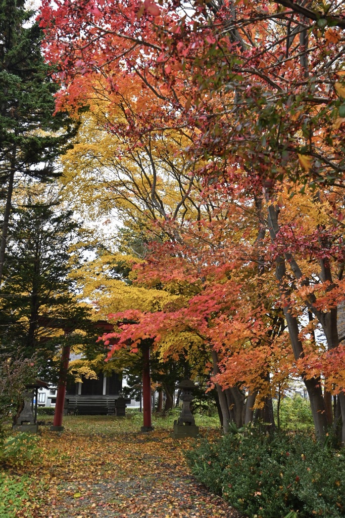 王子稲荷神社