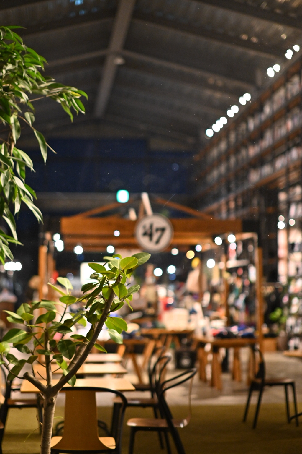 蔦屋書店