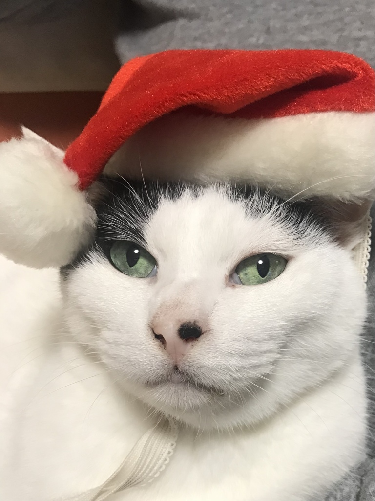 よきクリスマスを！