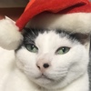 よきクリスマスを！