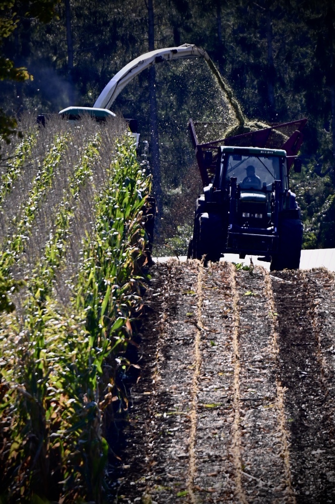 Harvest