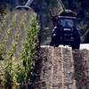 Harvest