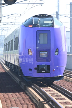 今年もまた始まりました！