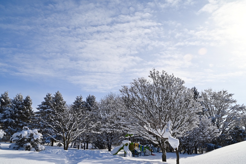 大雪の朝