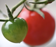 Red&Green