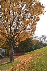 黄金の季節 黄金の季節