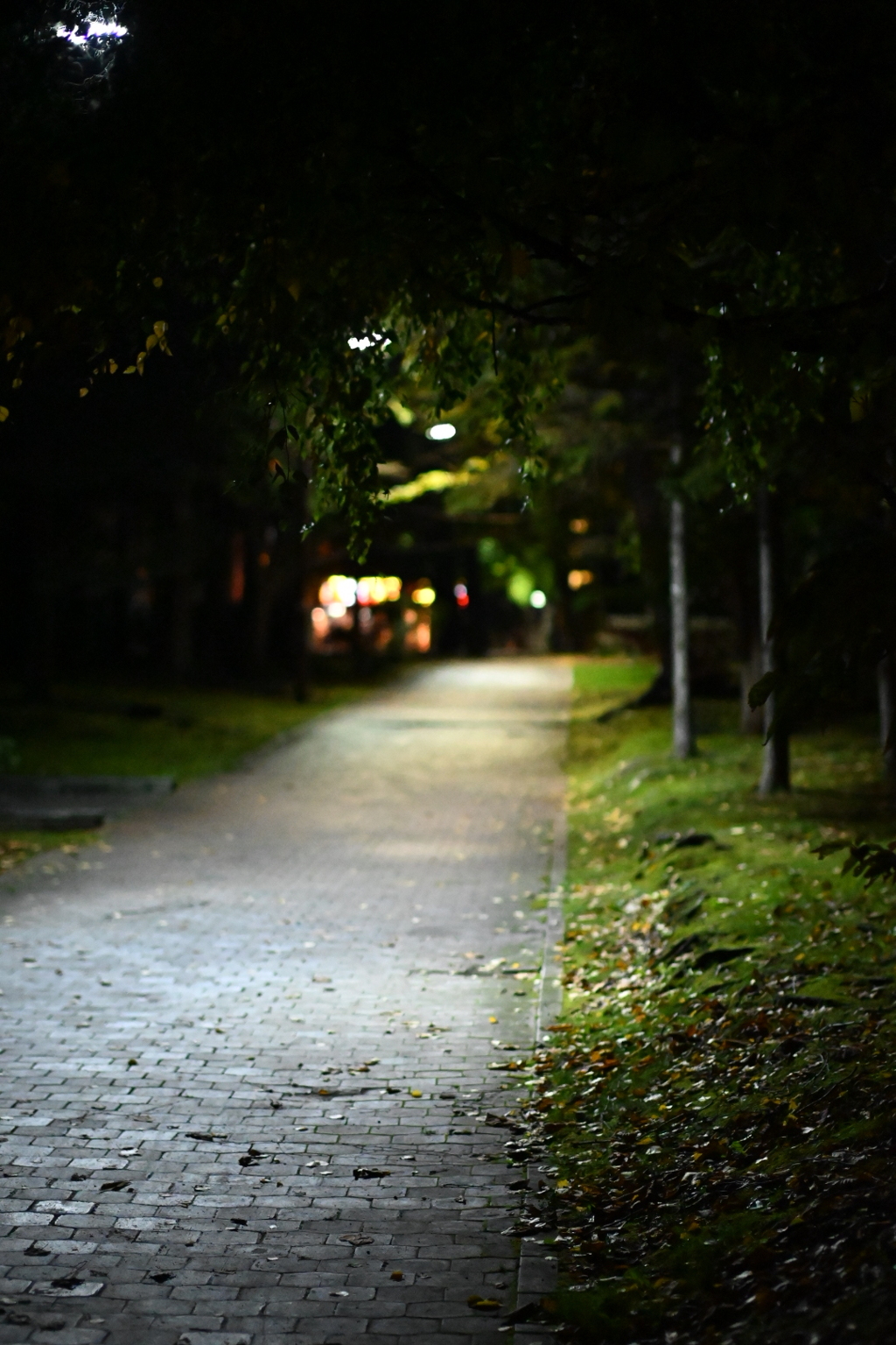 初秋の路