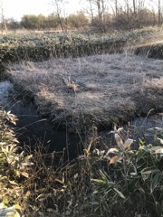 謎の踏み跡、探検