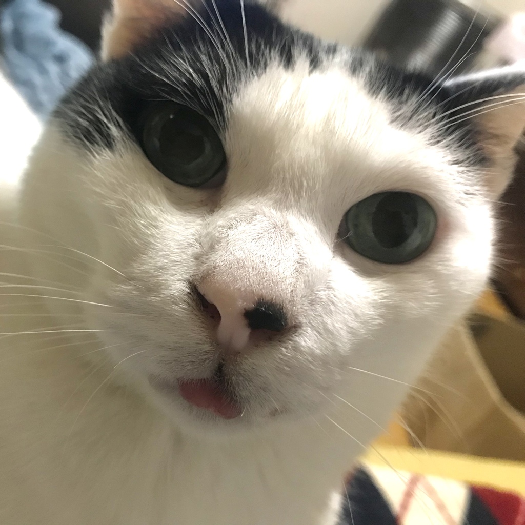 しまい忘れてるよ〜^_^