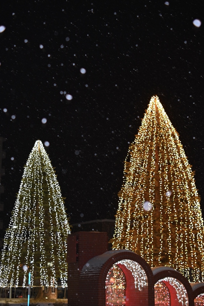 ホワイトクリスマス